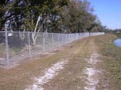 Chain Link Fence