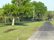 Chain Link Fence