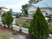 Custom Fence and Gates