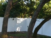 Vinyl Fence
