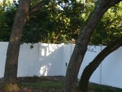 Vinyl Fence